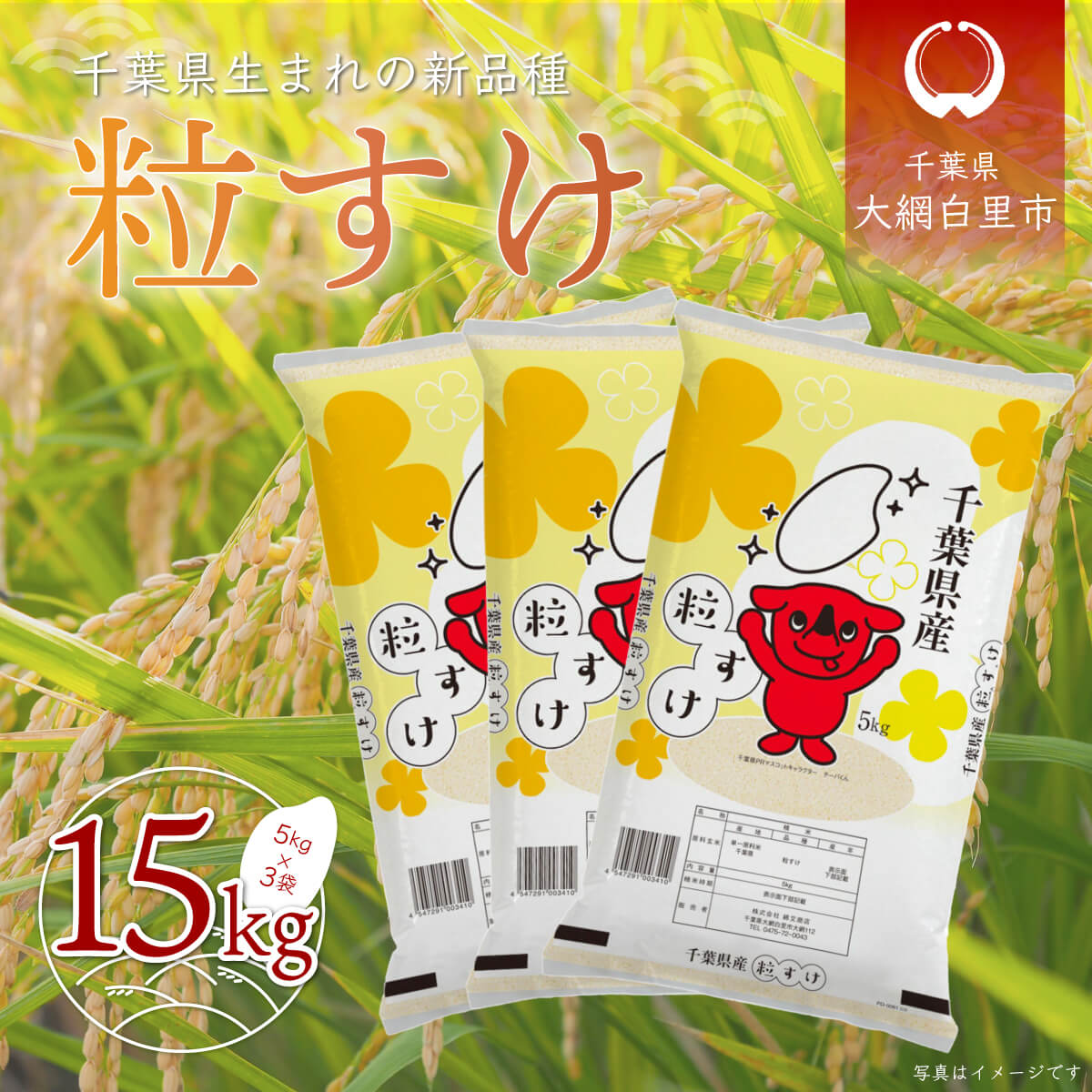 【新米】令和6年産 千葉県産「粒すけ」15kg（5kg×3袋） お米 15kg 千葉県産 大網白里市 粒すけ 米 精米 こめ 送料無料 A042