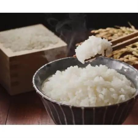 【令和8年産】信州八ヶ岳山麗 長野県産コシヒカリ 精米10kg(10kg×1袋)【1719516】