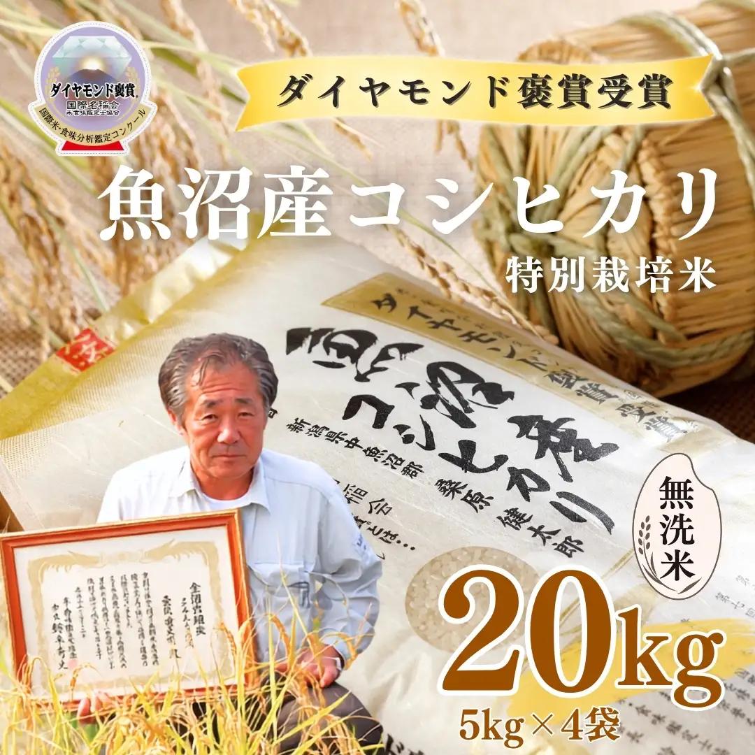令和8年産 魚沼産コシヒカリ 無洗米 ダイヤモンド褒賞受賞 特別栽培米 20kg（5kg×4袋） |津南町 魚沼