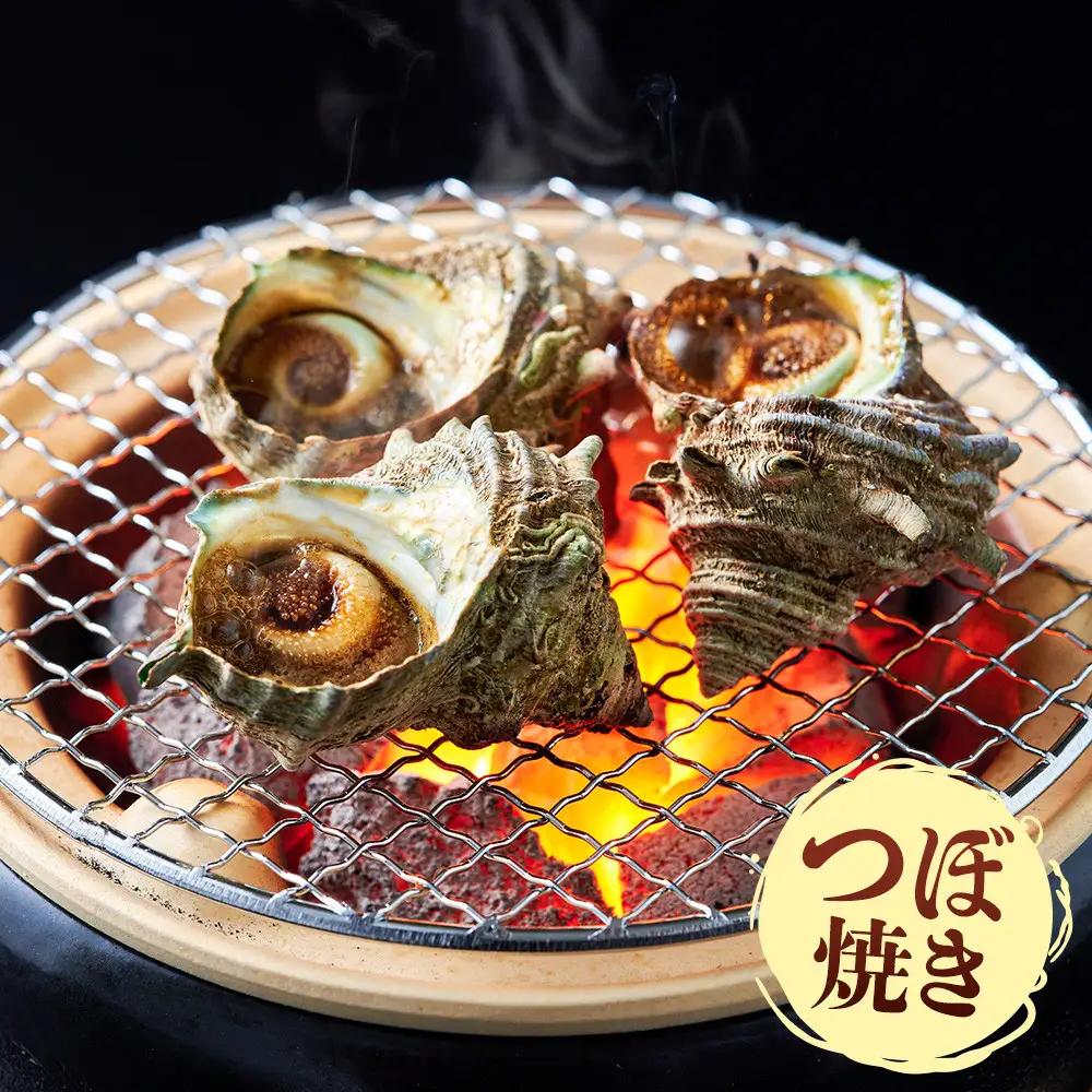 ＜土日祝着＞＜1月上旬～2月上旬頃順次配送＞あわび・さざえ詰合せ(2種) 【鳥取県 境港市】