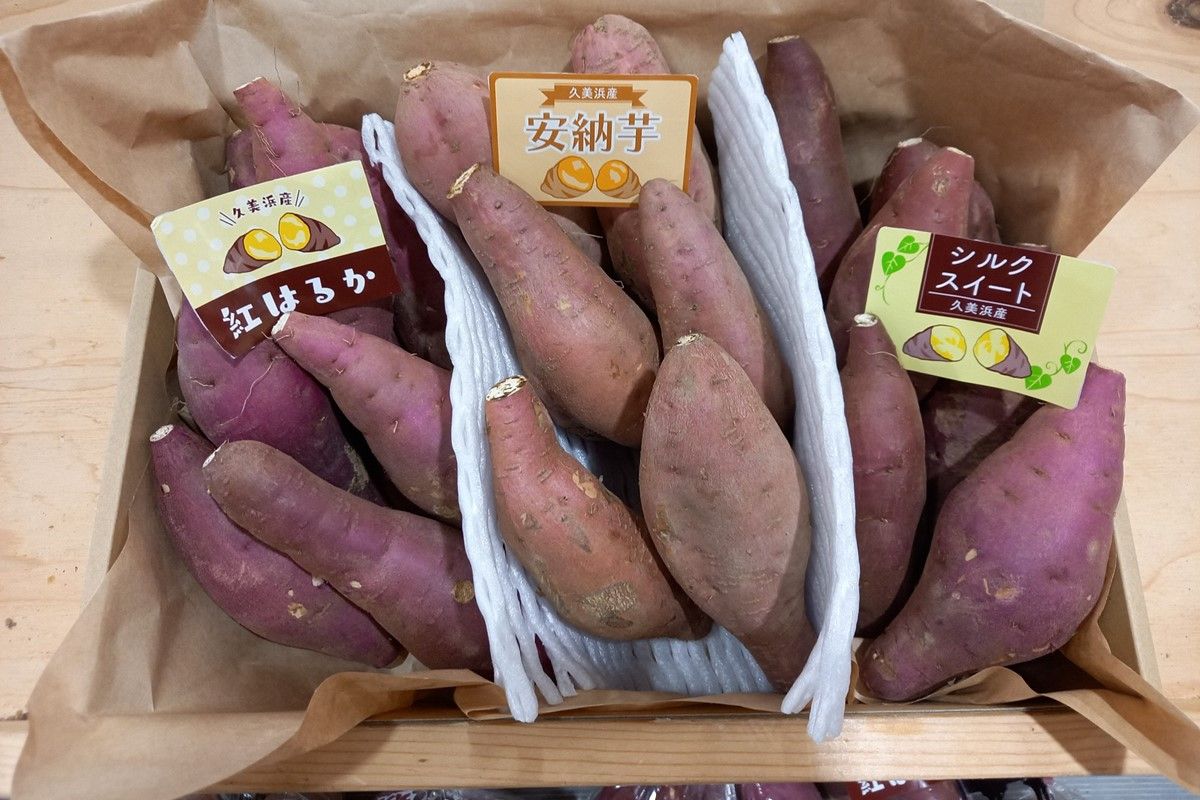 【先行予約／数量限定】直売所直送「京都・京丹後産 訳あり さつまいも3種食べ比べセット」計3kg（2025年10月下旬～発送）　JA00069