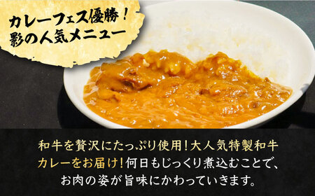 焼肉屋さんの特製和牛カレー  200g× 2個 【平壌屋】《豊前市》肉 お肉 カレー [VAH051]
