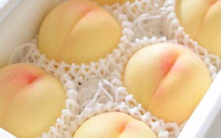 【特選】清水白桃 2キロ【2026年7月上旬～7月下旬 発送予定】