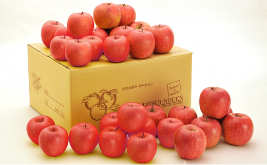 
            信州小諸　松井農園のサンふじ 約10kg [№5915-0599]
          