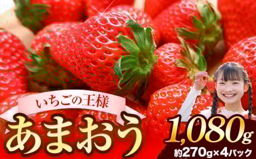 ★2026年出荷分★【先行予約】あまおう いちご 1080g 【着日指定不可】《2月中旬-4月末頃出荷予定》いちご イチゴ フルーツ 特産品 ---kr_ckrama_2c4m_25_9000_1080g---st-p