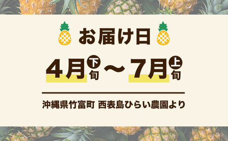 2024年 先行予約 ピーチパイン 約3kg 3～4玉 濃密 "いってＱ"でも紹介された 西表島ひらい農園 パイン パイナップル 果物 フルーツ