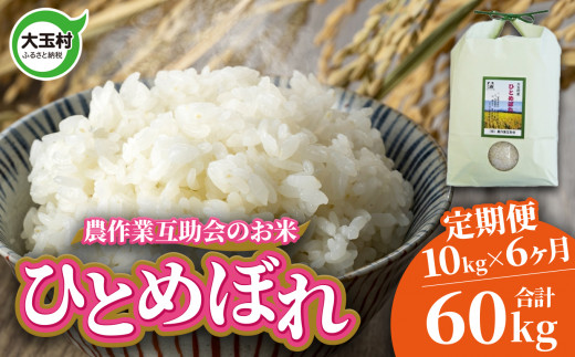 米 定期便 ひとめぼれ 60kg ( 10kg × 6ヶ月 ) 福島県 大玉村 農作業互助会  ｜ ヒトメボレ 精米 白米 こめ ごはん 定期 6回 コメ ｜ gj-hb10-t6-R7