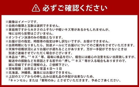 桃 2024年 先行予約 岡山 白桃（晩生種）ご家庭用 約1.9kg 6～9玉入り もも モモ 岡山県産 国産 フルーツ 果物 直送！せとうちバスケット