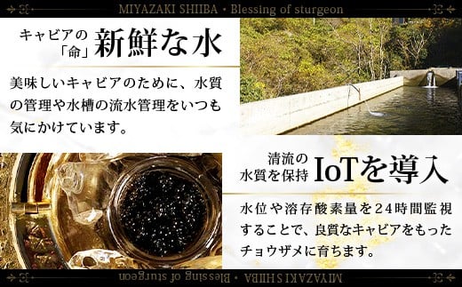 画像はイメージです