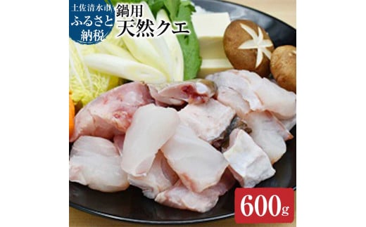【冷凍】簡単鍋用 天然クエ（600g/2人～3人前）くえ 海鮮鍋 魚介 高級魚 切り身 クエしゃぶ しゃぶしゃぶ クエ鍋 天然 海鮮 魚 下処理済み 真空 グルメ 冷凍 配送【R00571】