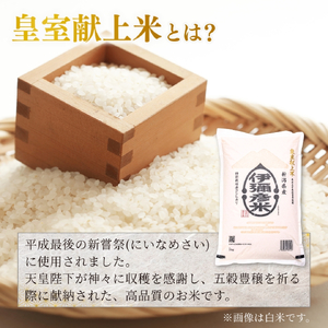 令和8年産新米先行予約 コシヒカリ 玄米 30kg 伊彌彦米 | コシヒカリ 新潟県 皇室献上
