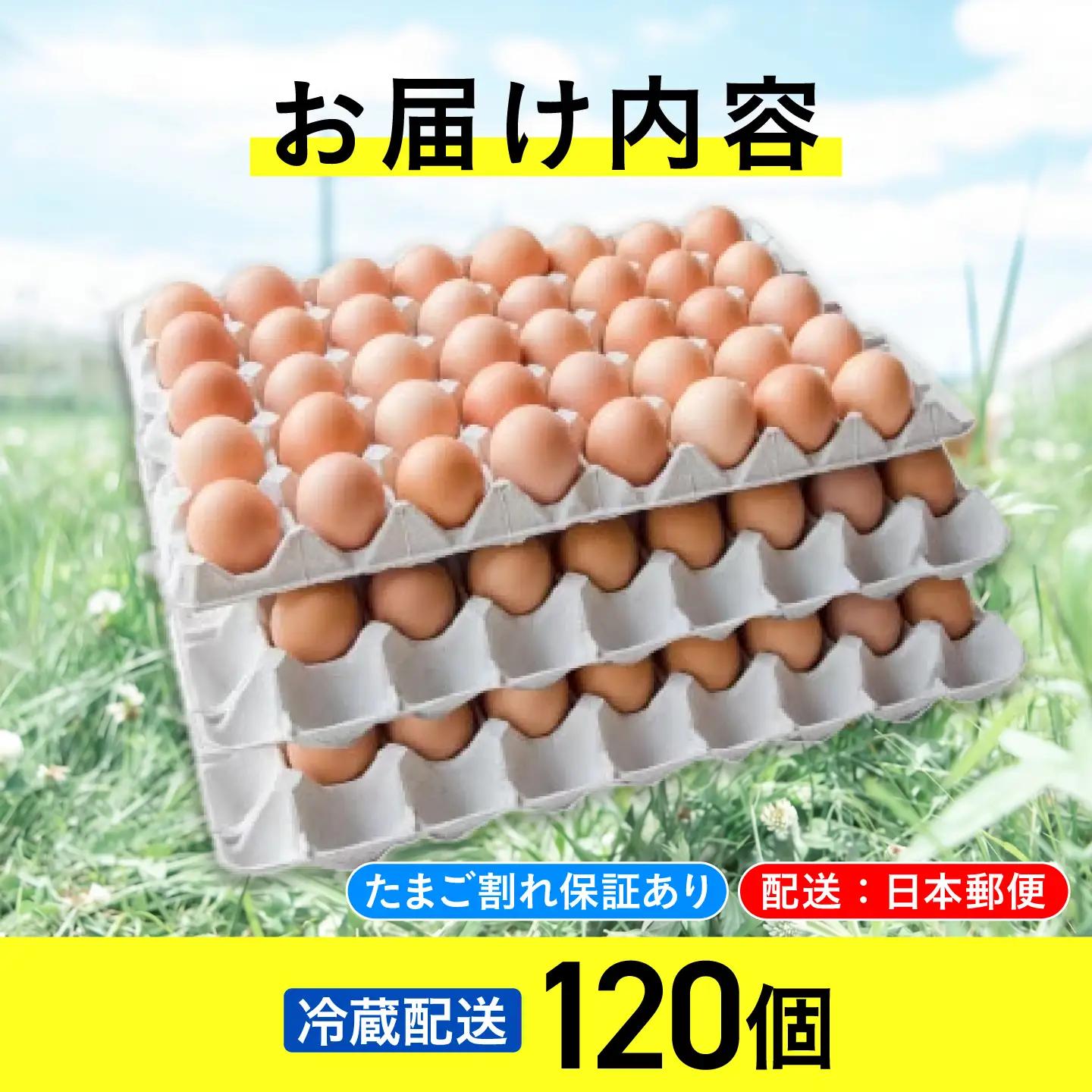 平飼い有精卵 120個 冷蔵便 北海道 [AXAN076]