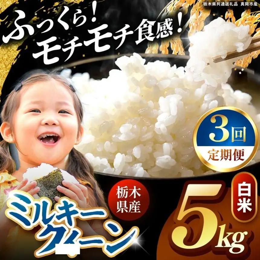 【定期便3回】栃木県産 ミルキークイーン 白米 5kg 2026年  新米 | 栃木県 矢板市
