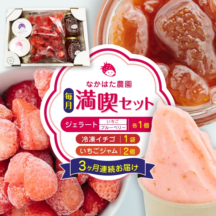 【限定数量】【全3回定期便】なかはた農園満喫セット ( 冷凍イチゴ 500g いちごジャム 1個 ジェラート 2種 × 各1個 ) アイス 熊本 山都町 農園直送 産地直送【なかはた農園】[YBI030]