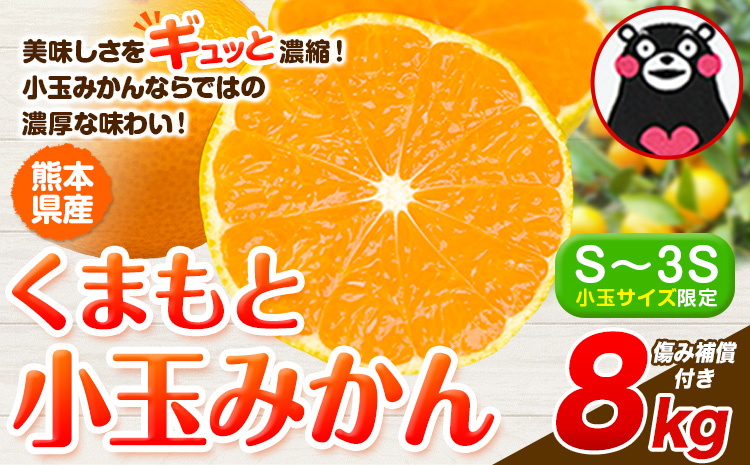 最短7日発送！ 訳あり みかん 小玉みかん くまもと小玉みかん  8kg 秋 旬 不揃い 傷 ご家庭用 SDGs 小玉 たっぷり 熊本県 産 S-3Sサイズ フルーツ 旬 柑橘 熊本県産 温州みかん《7-14日以内に出荷予定(土日祝除く)》 早く届く---gkt_mkn_24_wx_13000_8kg---