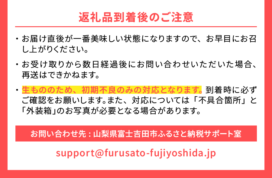 【2025年先行予約】【2回定期便】山梨朝どれ桃2kg×2回配送（白鳳系・白桃系）