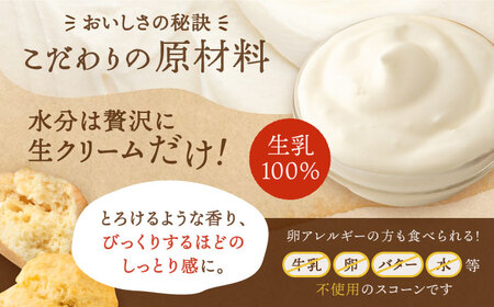 スコーンのイメージが変わる！定番スコーン12個セット 《糸島》【キナフク】 [AFA001] 洋菓子 卵不使用 スコーン お菓子 スイーツ個包装 セット スイーツ詰め合わせ スイーツ 焼菓子スイーツ 