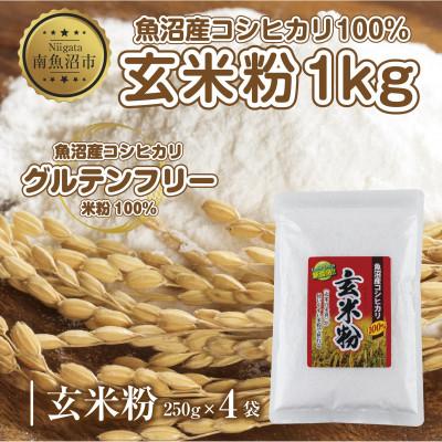 ふるさと納税 南魚沼市 玄米粉 250g×4袋 計1kg 魚沼産 コシヒカリ 小麦不使用 グルテンフリー 新潟県 南魚沼市