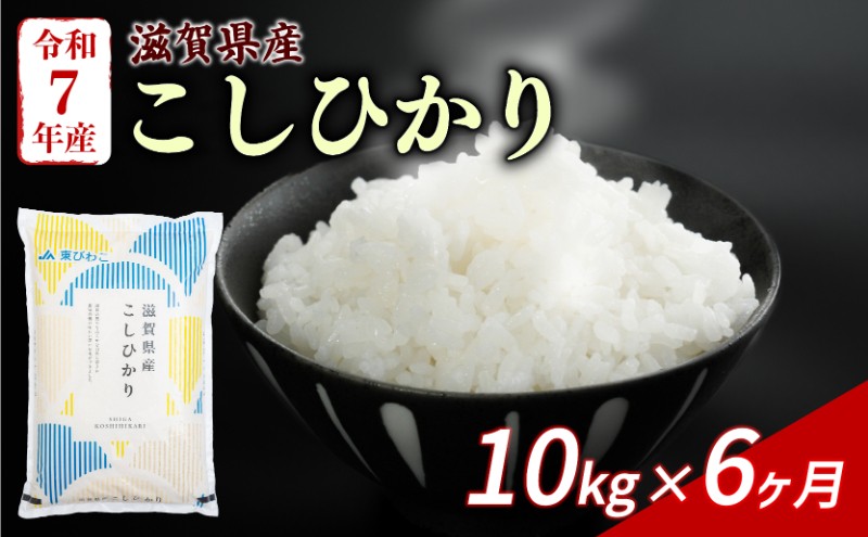 
                  こしひかり 10kg (5kg×2) 6回定期便 令和7年産 定期便 米 精米 こめ コメ お米 ご飯 米 コシヒカリ 米定期便 6か月定期便 6ヶ月定期便 6回 6ヶ月 6か月 滋賀 彦根
                