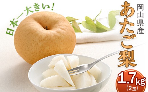 
            あたご梨 2玉（約1.7kg）化粧箱入り
          