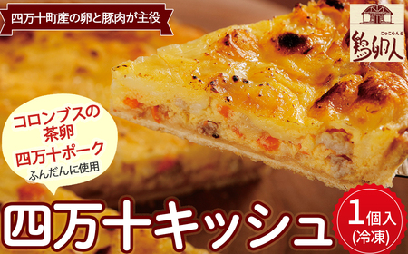 コロンブスの茶卵と四万十ポークを使った『四万十キッシュ』5号 冷凍・1個入 Gbn-63 キッシュ