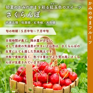 さくらんぼ（佐藤錦か紅秀峰）５００ｇ　手詰め　0020-2608