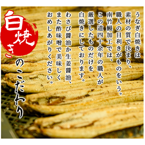 ＜数量限定＞厳選！鹿児島県産うなぎ白焼 合計2尾（自家製タレ付） 国産 うなぎ 白焼 鰻 冷凍 鹿児島 数量限定 期間限定【N-025H】