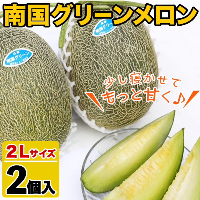 ＜先行予約受付中！2025年6月以降順次発送予定＞鹿児島県産！南国グリーンメロン(2Lサイズ×2個) メロン めろん 果物 スイーツ デザート フルーツ【あくね旬の店いきいき館】akn015-17