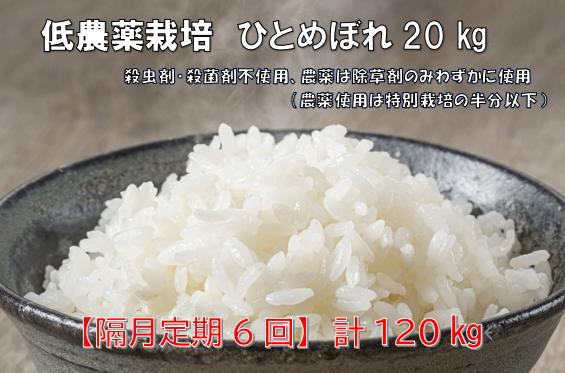 
            ＜新米先行予約＞【隔月定期6回】令和7年産 新米 低農薬栽培米 ひとめぼれ 20kg 【精米】
          