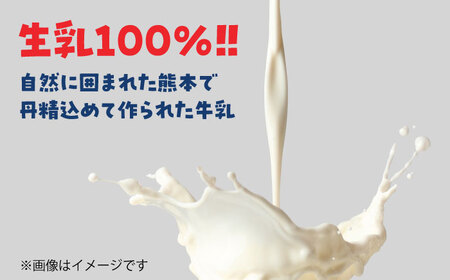 大阿蘇 牛乳 250ml×24本入 1ケース 成分無調整【一般社団法人クラッシーノこうし】[AYAB021]