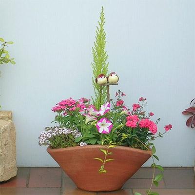 ふるさと納税 朝倉市 可愛いお花畑の寄せ植え(Lサイズ)