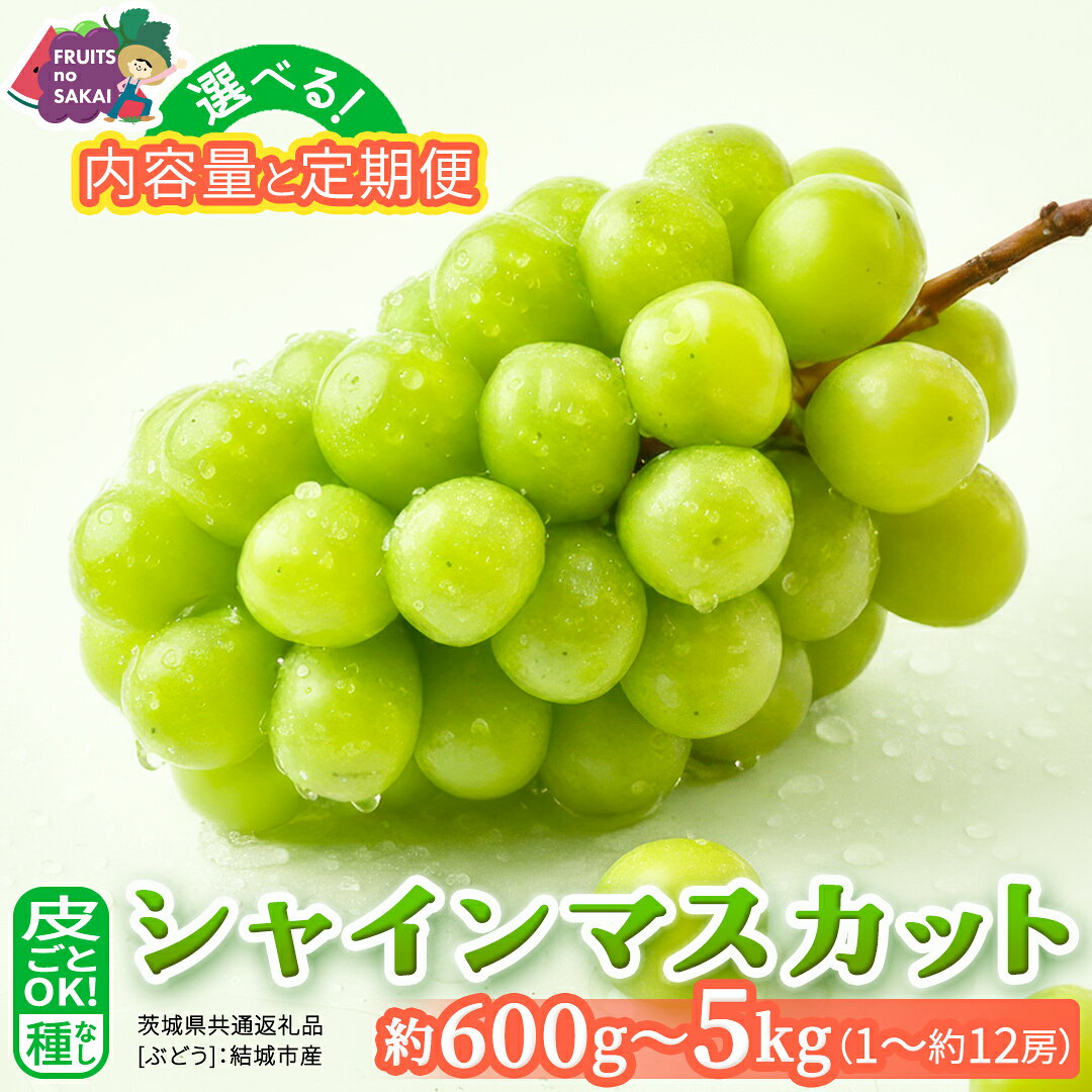 【ふるさと納税】＼選べる内容量・発送方法／ シャインマスカット 約600g ～ 5kg （約1房～12房）単品（1回）・定期便（3回・6回）【定期2026年8月、単品9月より発送開始】（茨城県共通返礼品 [ぶどう]：結城市産） 葡萄 お取り寄せ フルーツ 種なし 皮ごと 甘い デザート