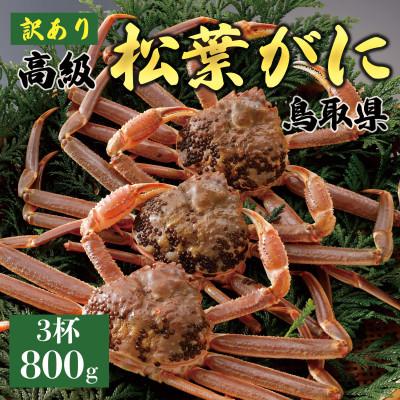 ふるさと納税 琴浦町 【2026年12月〜2027年1月発送】訳あり 松葉がに(活)800g3杯 N78_I