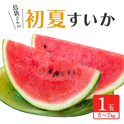 
                  ＜先行受付・2026年6月上旬から順次発送＞島袋さんの初夏スイカ大玉 1玉(5.0～7.0kg)【1577669】
                