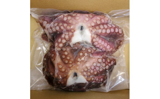 
大阪泉州産「泉タコ(生だこ)」1.3kg【1235020】
