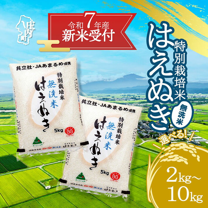 【ふるさと納税】【新米受付 10月発送】R7年産 特別栽培米はえぬき 無洗米 選べる内容量！ 2kg/5kg/10kg（入金期限：2025.9.15）新米 新米予約 先行受付 令和7年産米 米 ふるさと納税 山形県