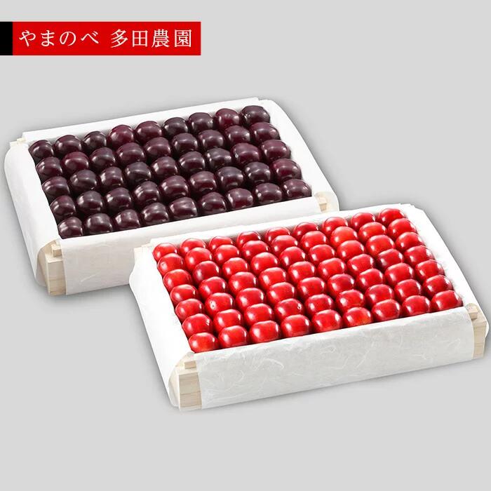 【ふるさと納税】《2026年先行予約》【紅姫・サミット】特選桐箱詰 約1,100g×2【やまのべ多田耕太郎のさくらんぼ 多田農園】期間限定 数量限定 　7月中旬より発送 山形県産 サクランボ フルーツ 果物 くだもの 贈答 F4A-0038