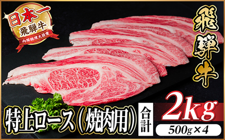 飛騨牛 特上ロース(焼肉・BBQ用) 2kg(500g×4)　A5等級　黒毛和牛　小分け_肉 焼肉 牛肉 やきにく ヤキニク バーベキュー  肉 飛騨牛 牛肉 うし ビーフ_【配送不可地域：離島】【1543796】