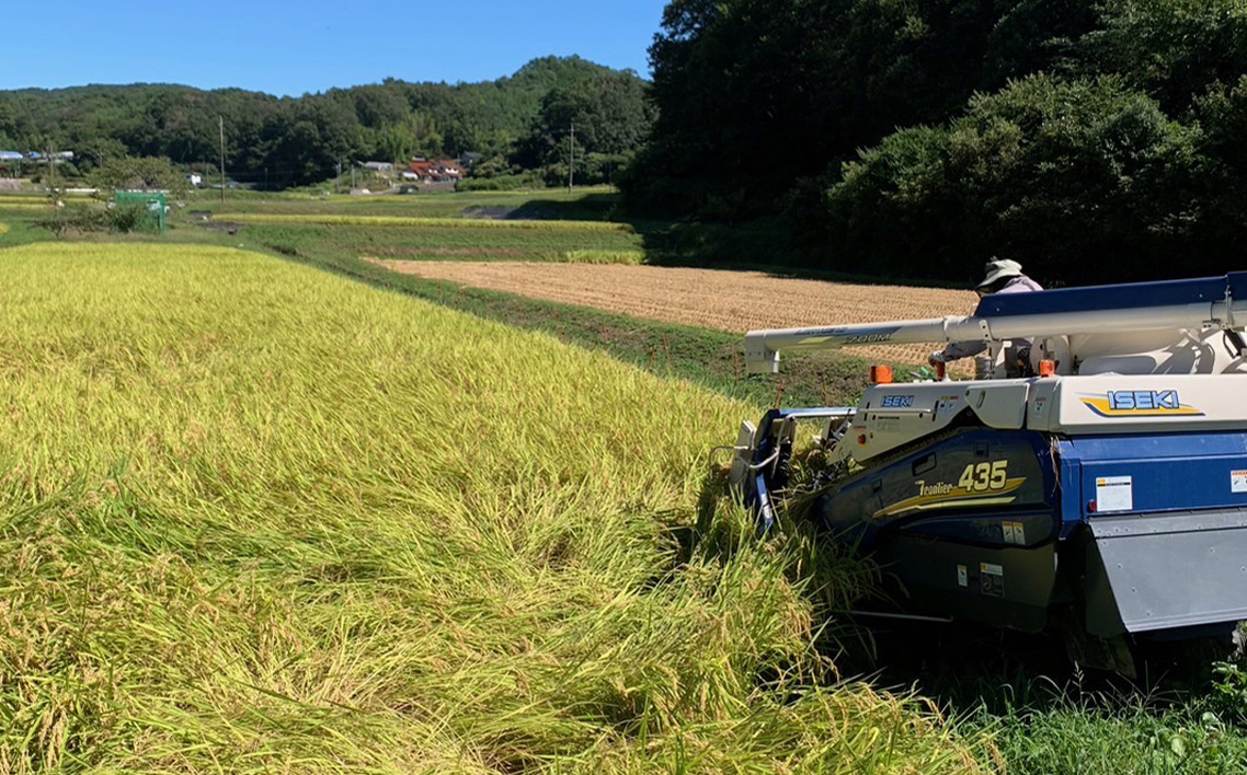 備後の恵み ゆうだい21 5kg 【広島県産】 農家直送 こだわり栽培米 No.1174