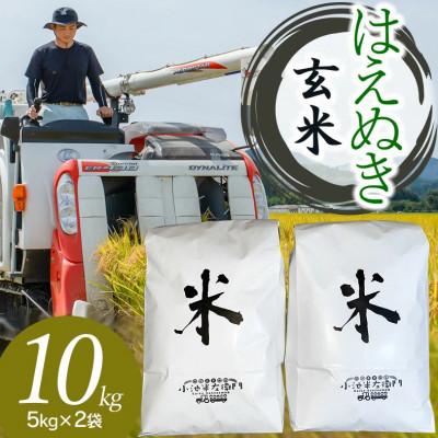 ふるさと納税 鶴岡市 【令和7年産】山形県庄内産 小池半左衛門のお米　はえぬき 玄米 5kg×2袋 計10kg