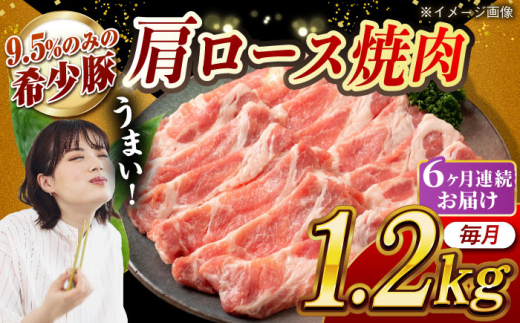 【月1回約1.2kg×6回定期便】大西海SPF豚 肩ロース（焼肉用）計約7.2kg 長崎県/長崎県農協直販 [42ZZAA058]