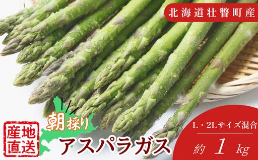 【先行予約】朝採り直送　グリーンアスパラ約1kg（L・2L混合）北海道壮瞥町 SBTM008