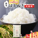 【ふるさと納税】令和6年産 《5kg 3回定期便》 山形県産 はえぬき 5kg(5kg×1袋)×3回 2024年産 令和6年産 ／ お取り寄せ 特産 白米 小分け 便利 弁当 ごはん ご飯 ライス 食品 食料品 朝食 昼食 夕食 夕飯 東北 5キロ 15キロ 3ヵ月 3か月 故郷納税