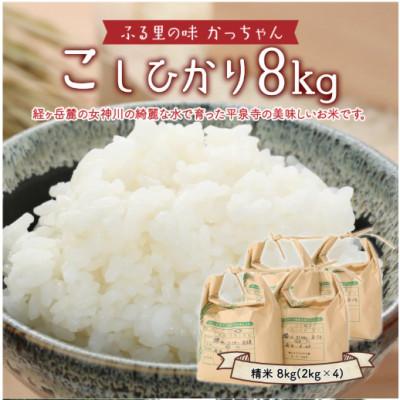 ふるさと納税 勝山市 【2025年10月上旬より順次発送予定】【令和7年度産】コシヒカリ8kg(2kg×4) |  | 01