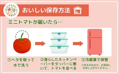 ミニトマト サンチェリー 1kg トマト 新鮮 野菜 農家直送 1キロ 人気 おすすめ おいしい 福島県 田村市 田村