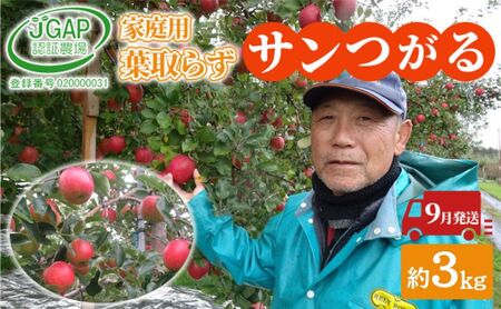 りんごサンつがる葉取らず訳あり青森県産りんご【約3kg】【9月発送】
