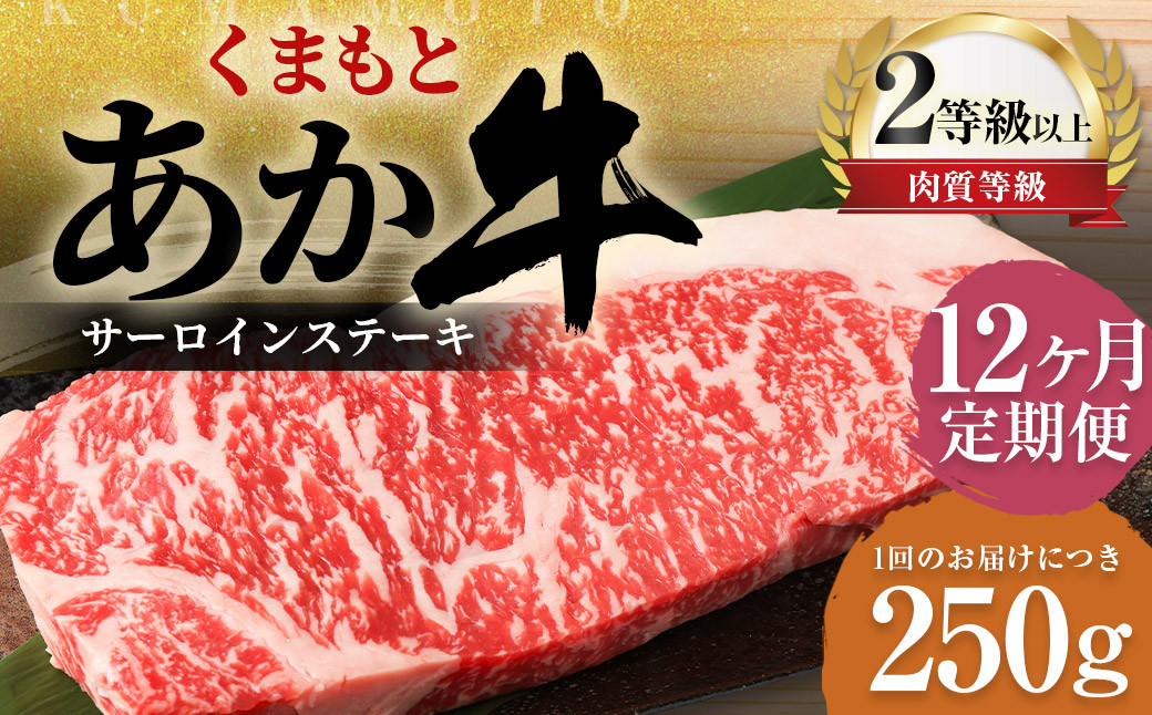 
            【12ヶ月定期便】くまもとあか牛 サーロイン 250g×1枚 牛肉 牛 肉
          