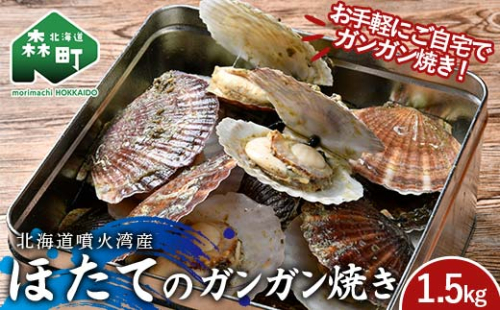 北海道噴火湾産 ほたて(二年貝)のガンガン焼き1.5kg 海産物 加工品 ほたて 帆立 ホタテ 魚介類 海鮮 森町 ふるさと納税 mr1-0980