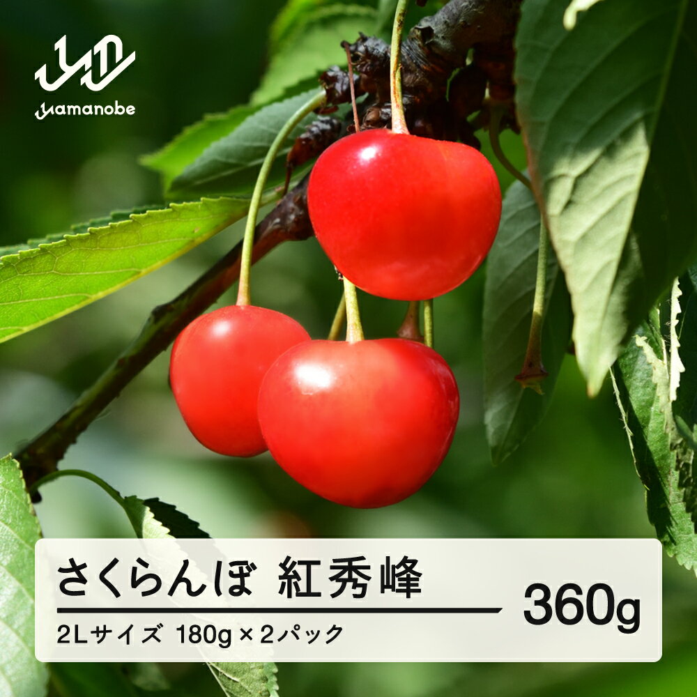 【ふるさと納税】《先行予約》2026年 山形県産 紅秀峰 さくらんぼ 2Lサイズ 180g 2パック入り ※沖縄・離島への配送不可 ts-bs2lp360