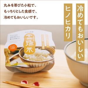 パックごはん白米6個セット：地下水で育てた「金鵄米きんしまい」 奈良県 奈良市 なら 9-106